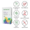 Чайный напиток Herbarus, Заряд Витаминов (24х1,8 гр.) 4607122931388 - фото 11322