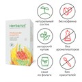 Чайный напиток Herbarus, Имбирная Энергия (24х2 гр.) 4607122931470